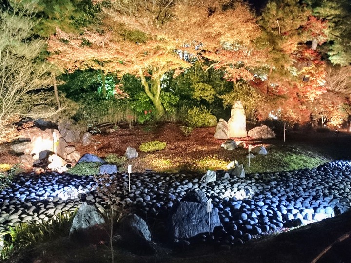 autumn leaves