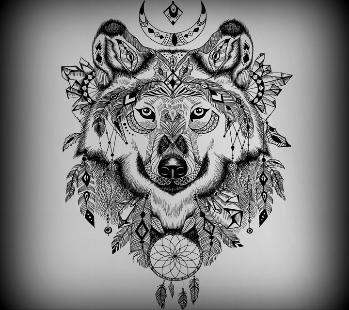 wolf