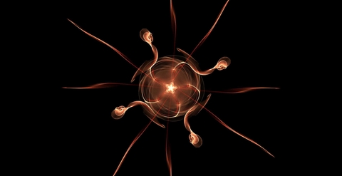 The Phoenix