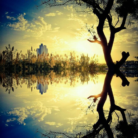 Reflection