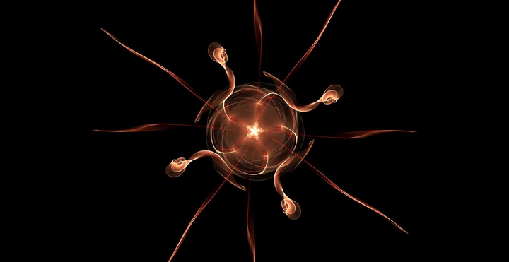 The Phoenix