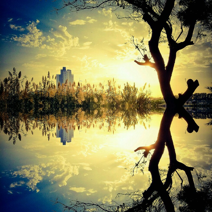 Reflection