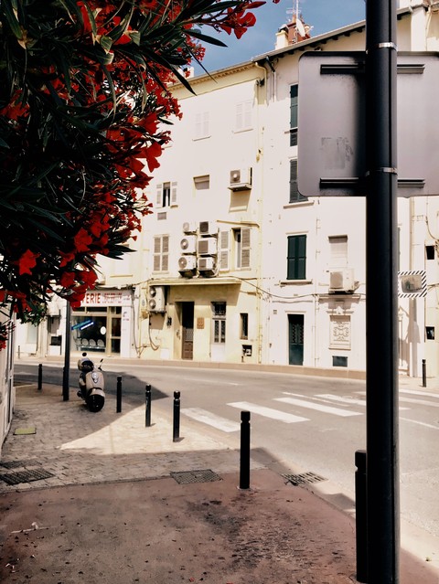 Summer City