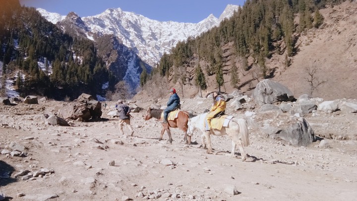 manali