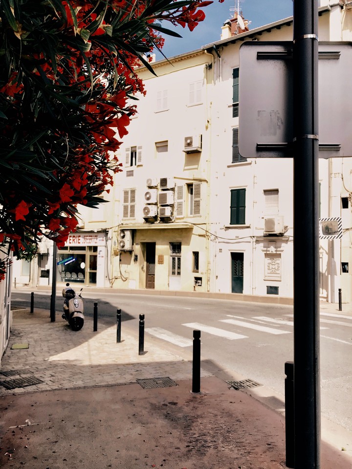 Summer City