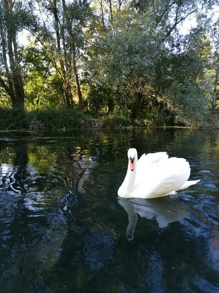 Canoeing mate