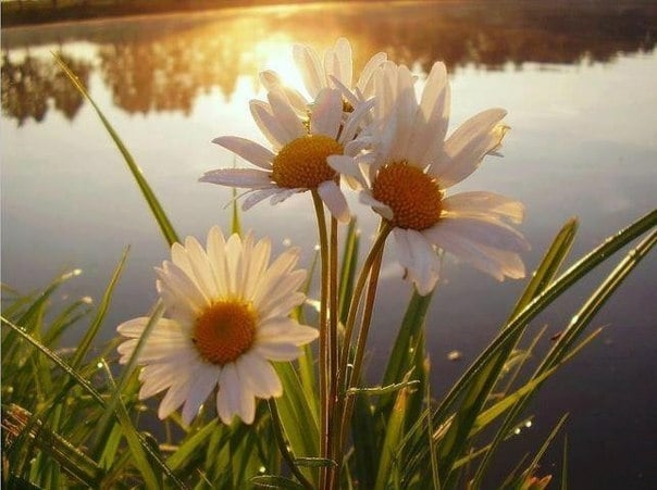 Summer 