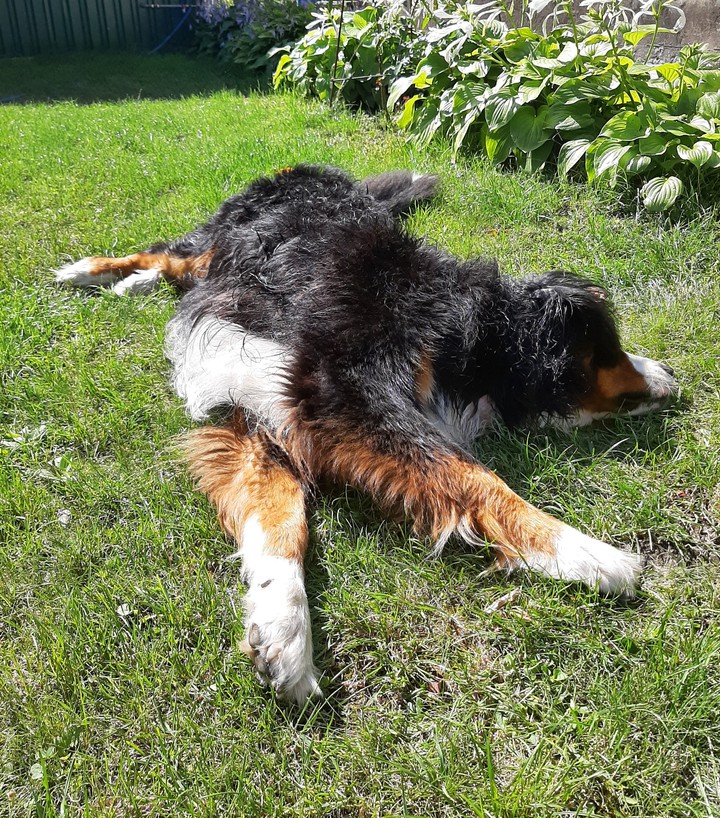 Relax