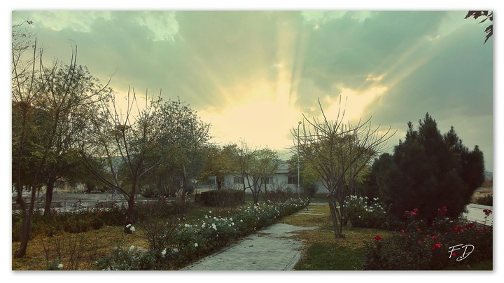 sunset