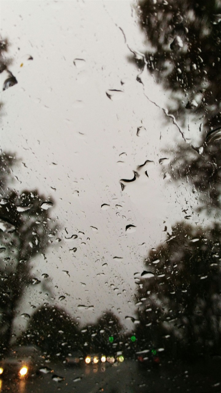 Rain