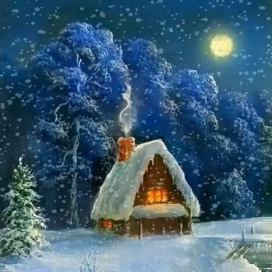 Зимняя ночь ❄️?