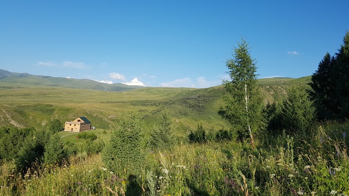 nature