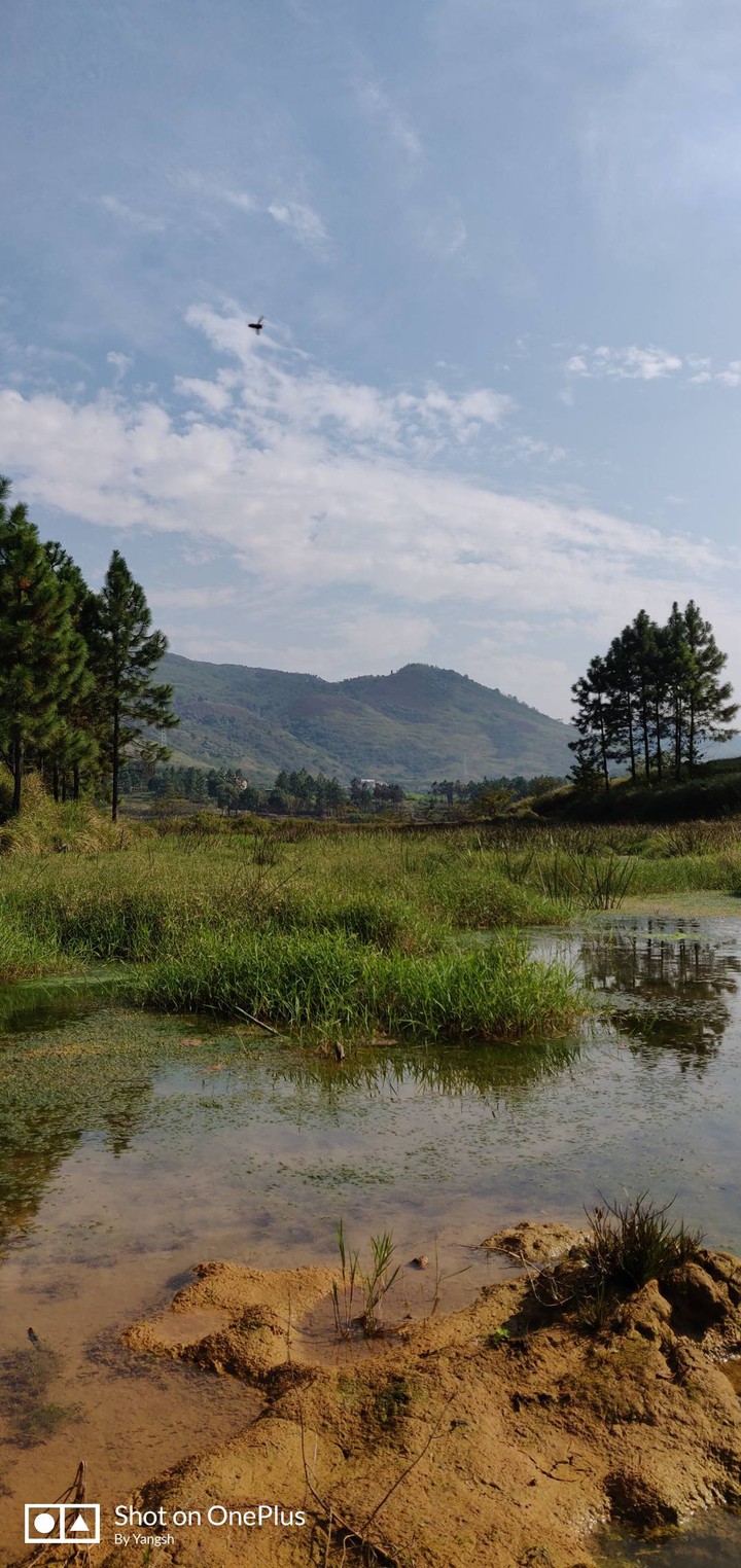 natural village.