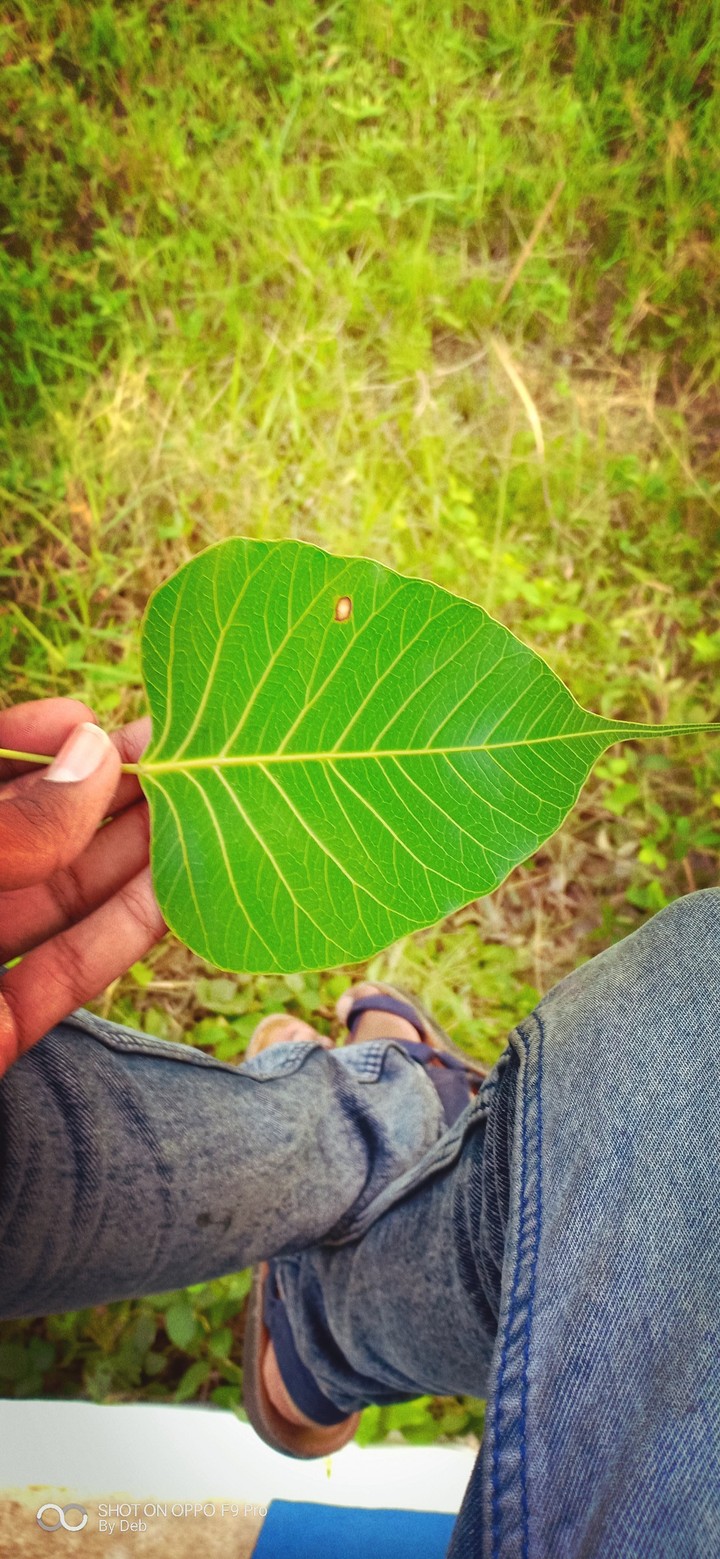 alone