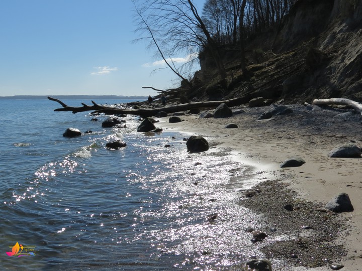 Baltic Sea beach