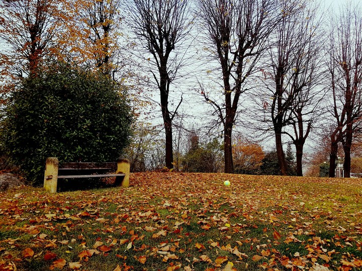 an autumn day