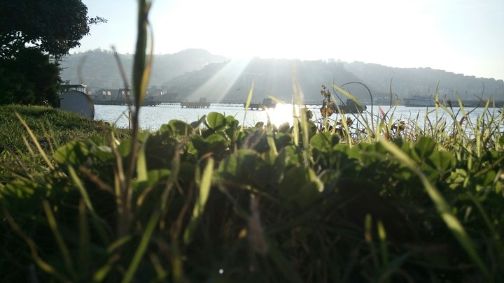 sea