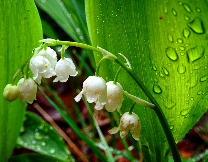 I love spring time