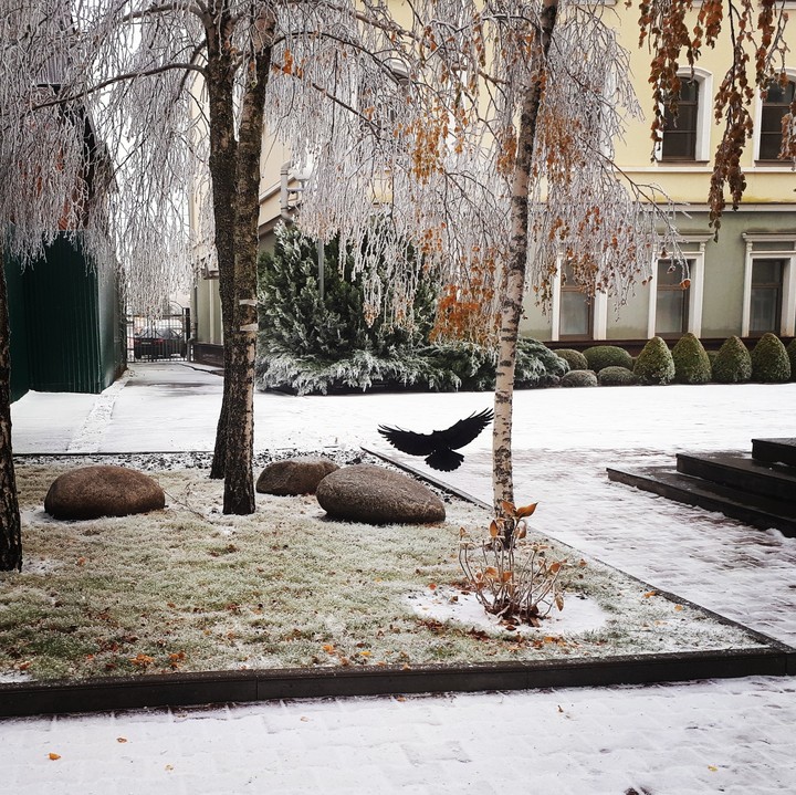 winter