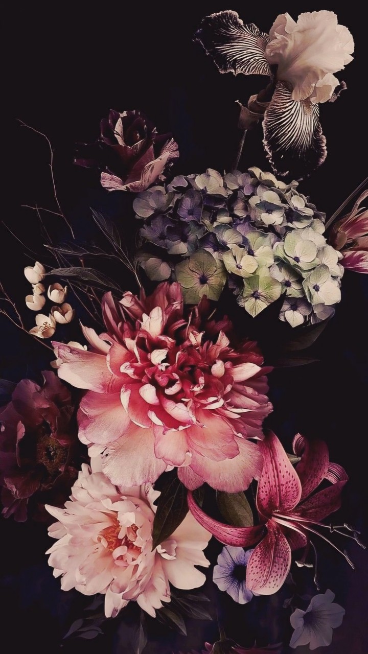FLOWERS OF THE DARKNESS