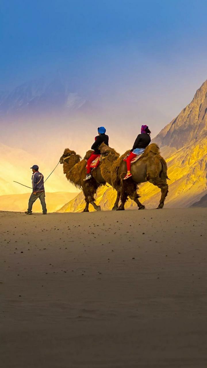 desert