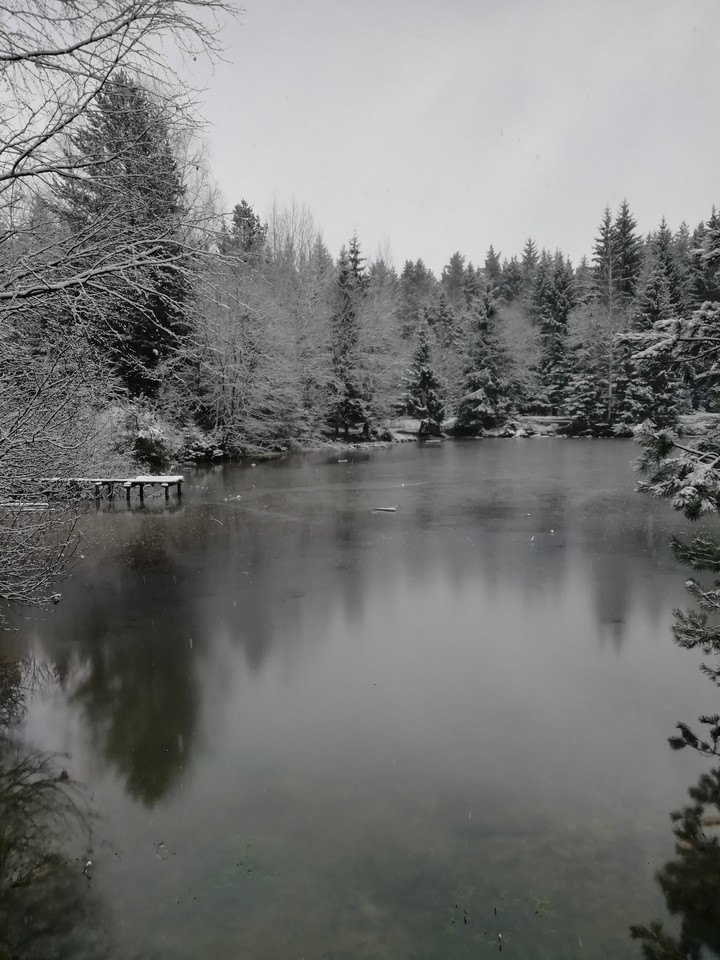 winter