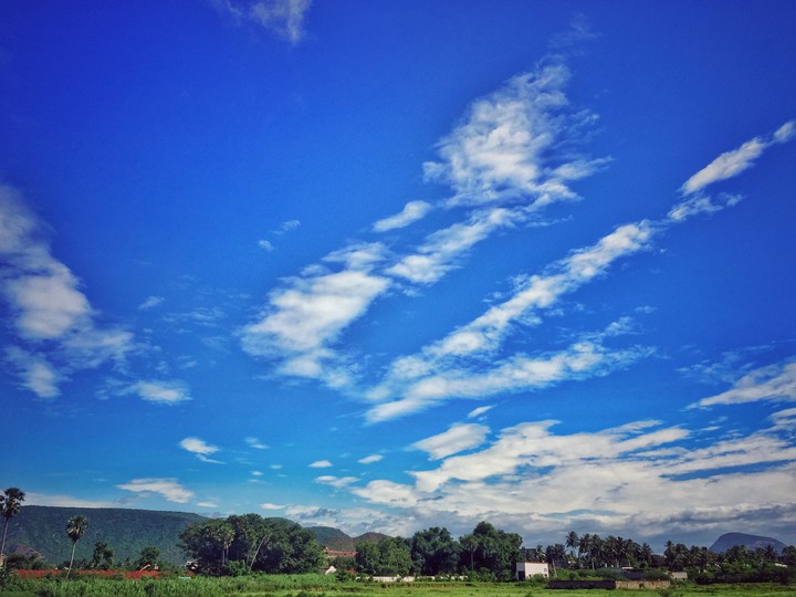 cloudy Day
