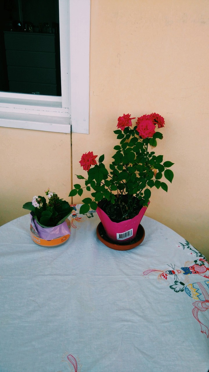 Natur