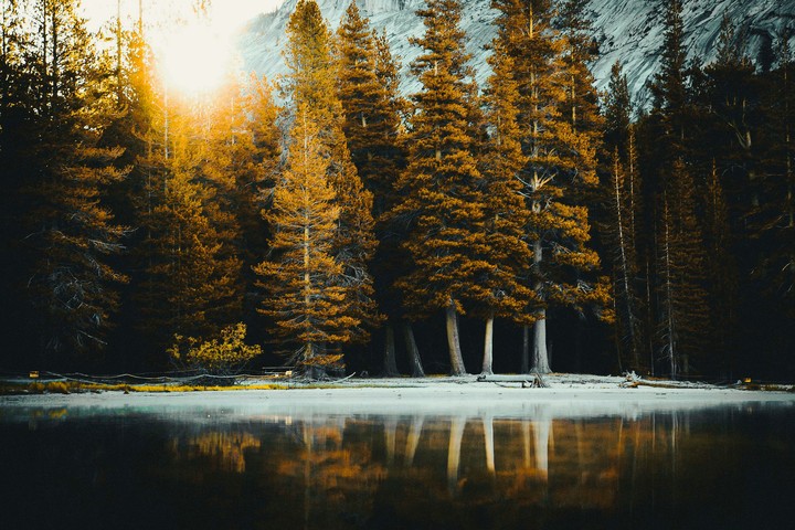 See im Winter