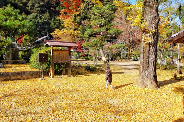 Autumn