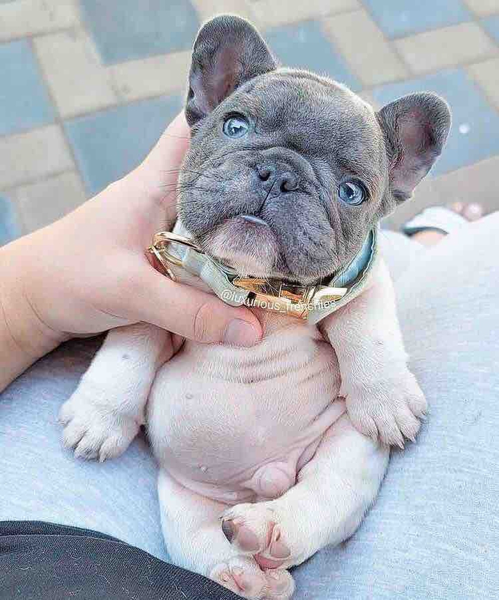 cute