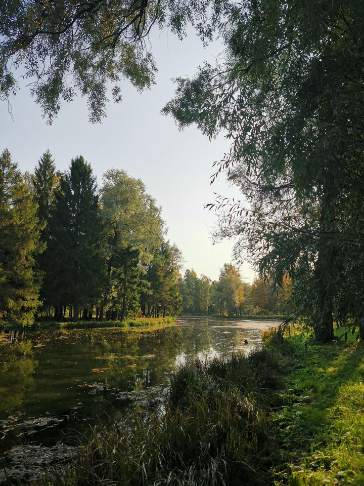 Gatchina park