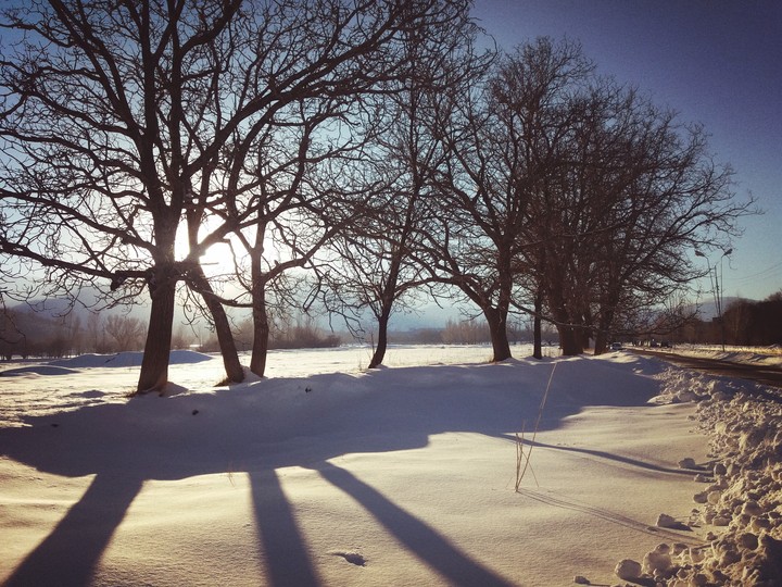 winter
