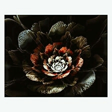 black flowers