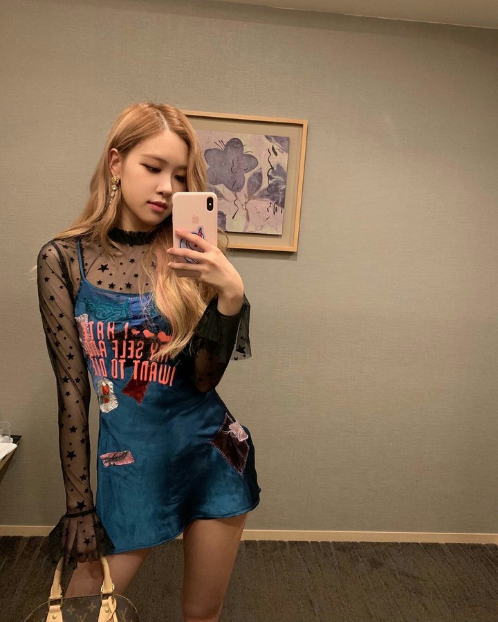 Rose