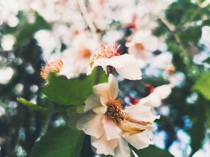 there is beauty all around