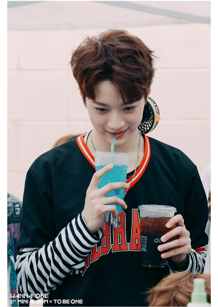 wanna one