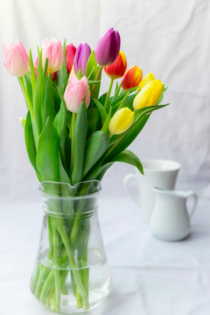 flowers