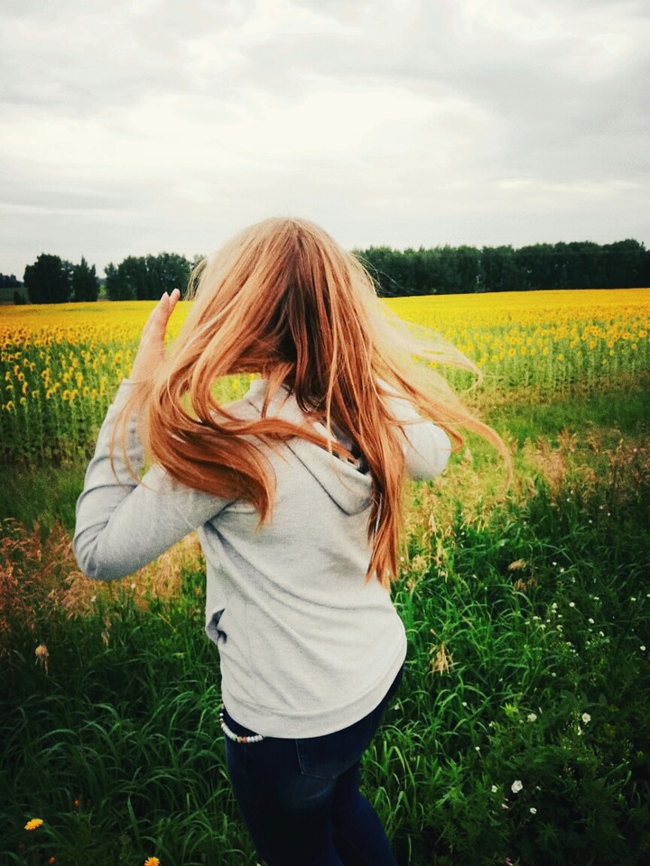 summer field