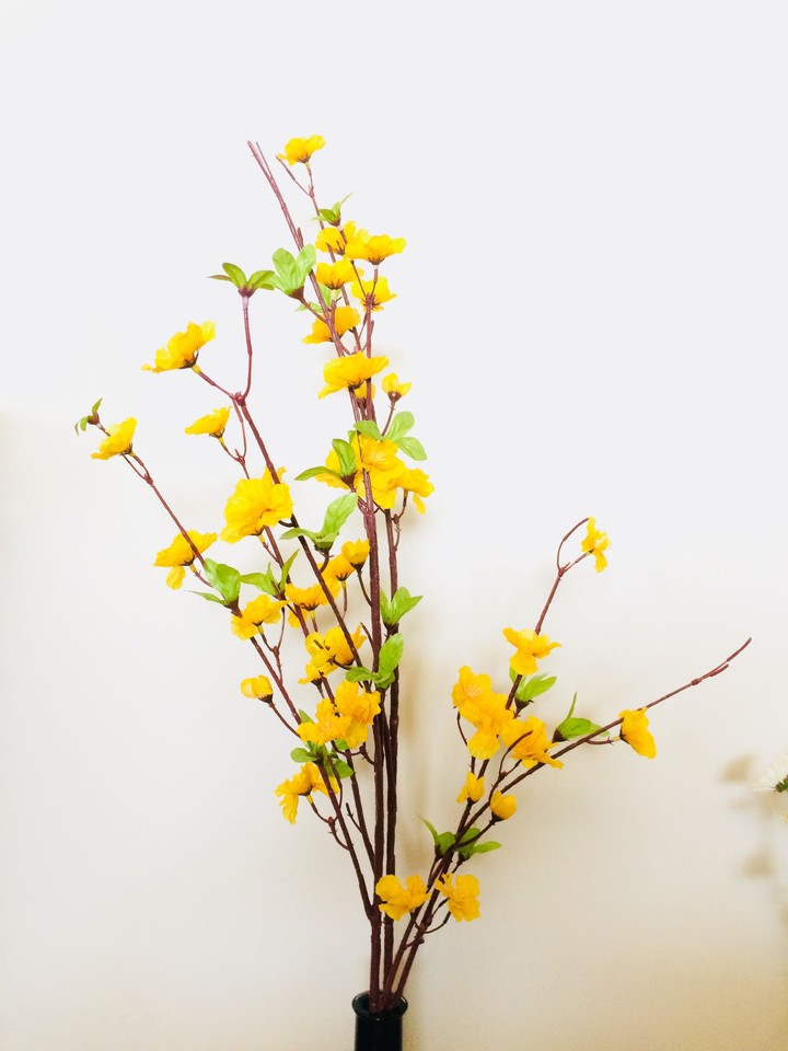 flowers are so beautiful..!!!