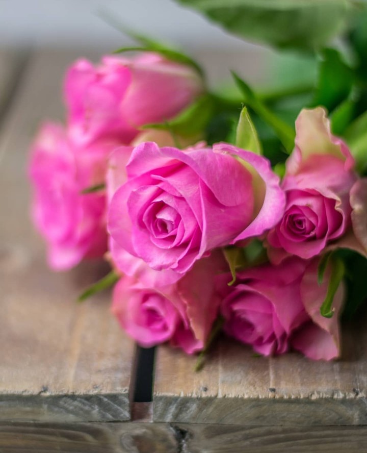 for you ❤️❤️❤️
