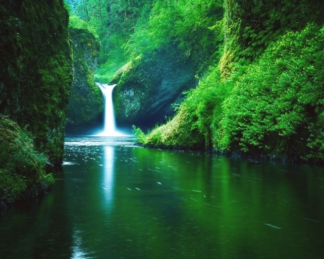 Natura