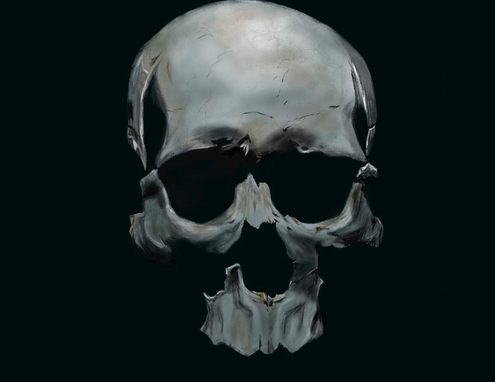 skull