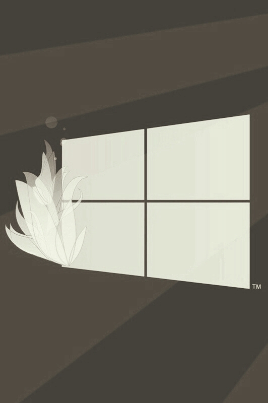 windows 10
