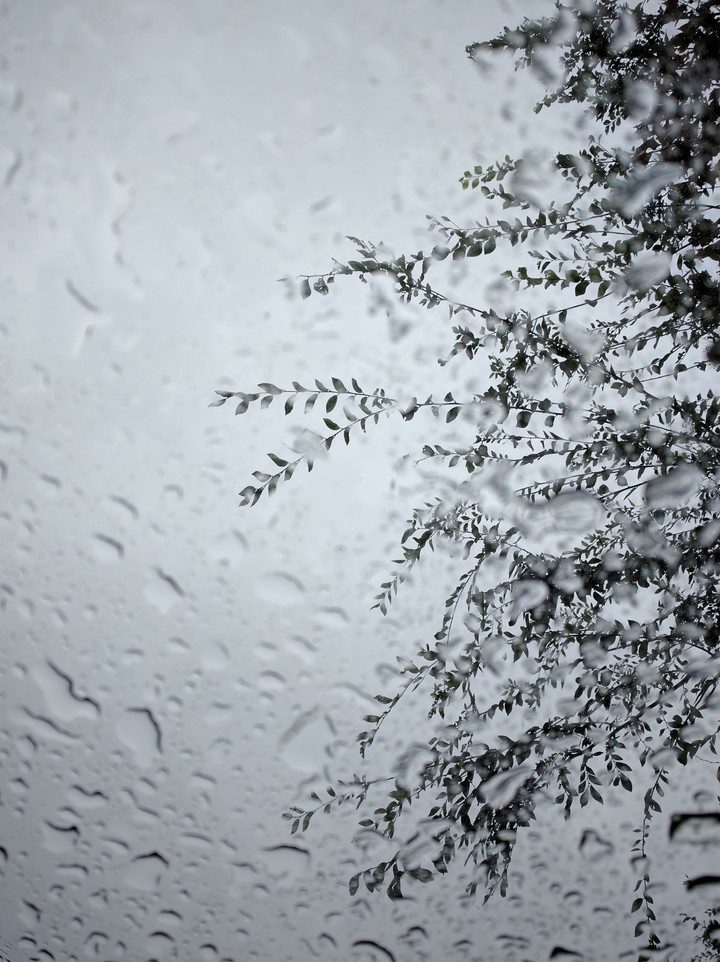 Rain through my moon roof