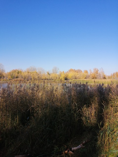 Осень.