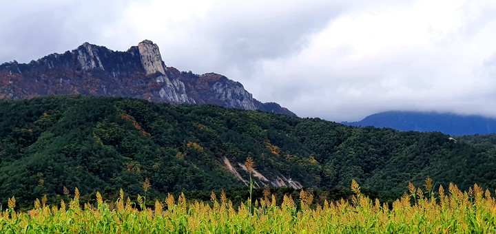 가을산