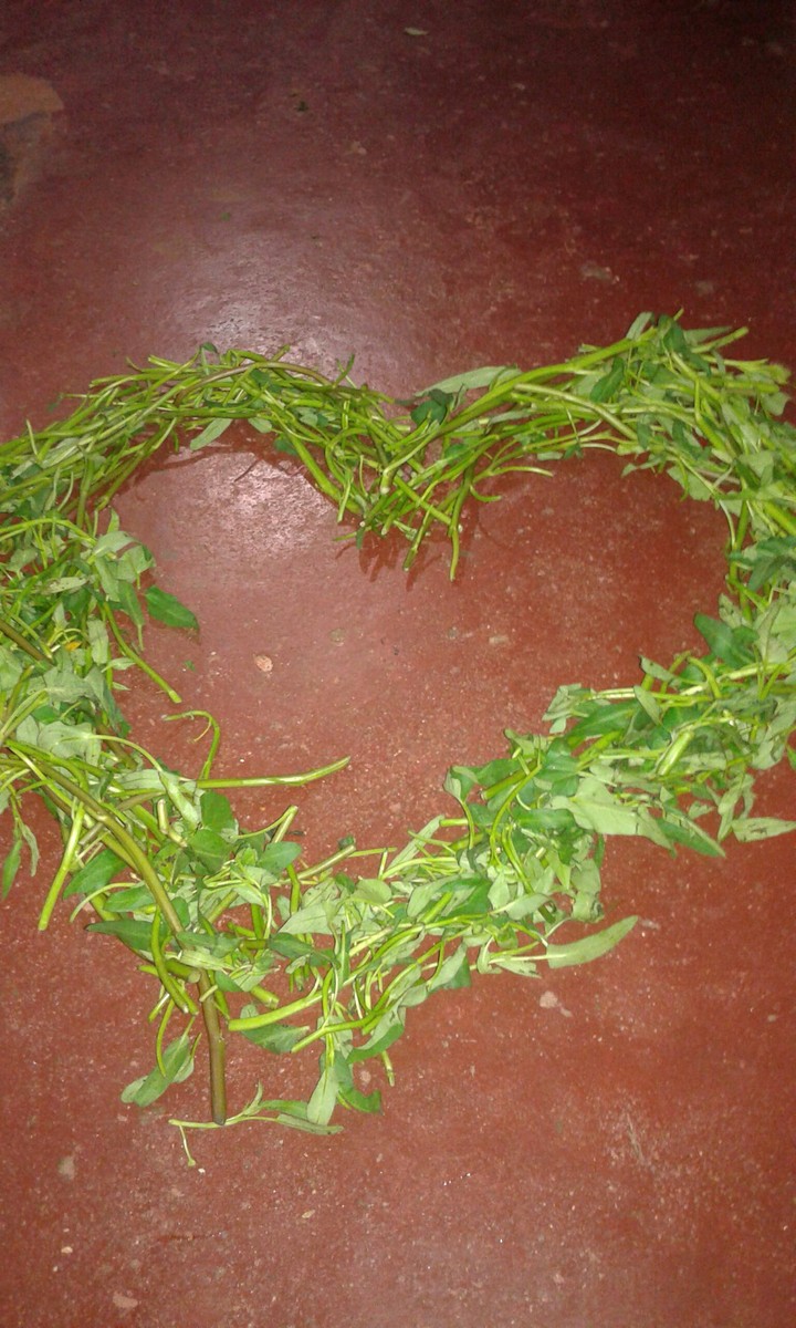 heart with leaf