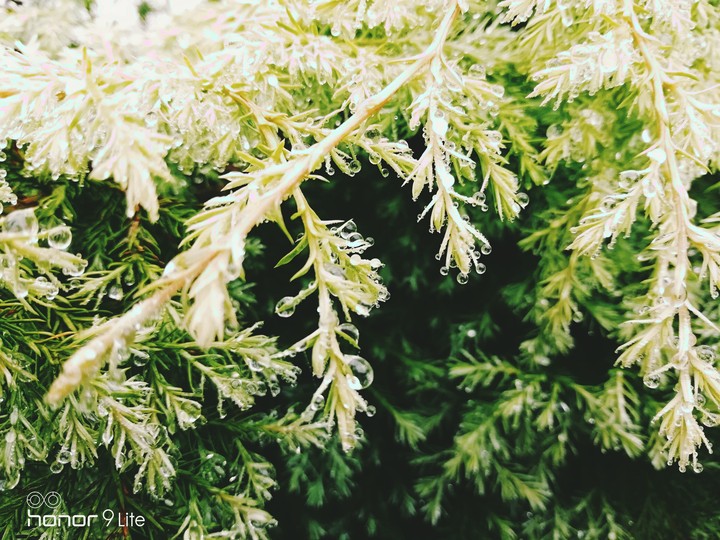 droplets at edge