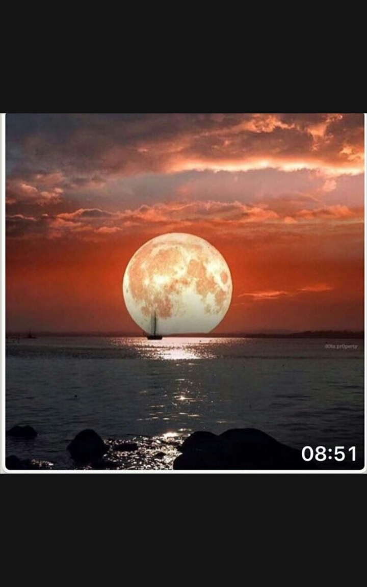 .....